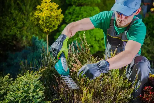 landscaping services Forest